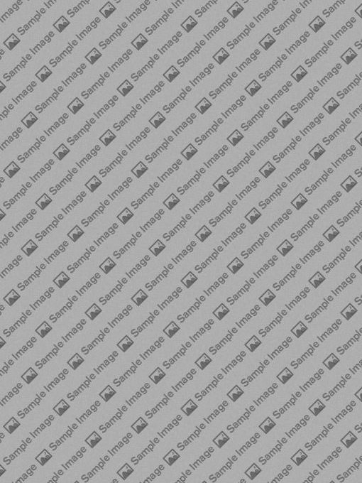 Organize Menus with Drag-and-drop Simplicity